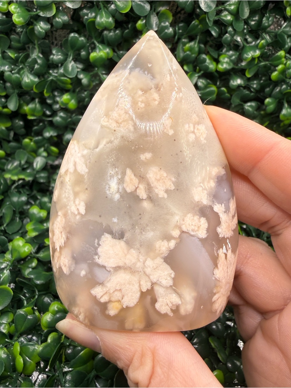 Flower Agate Freeform